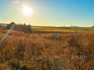Prodej pozemku pro bydlení, Dobev - Oldřichov, 1081 m2