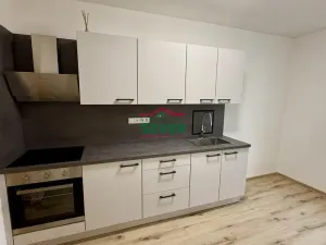 Prodej bytu 1+1, Most, Josefa Skupy, 36 m2