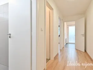 Pronájem bytu 2+kk, Nemojany, 50 m2