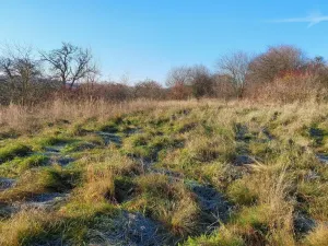 Prodej pozemku pro bydlení, Dřetovice, 1424 m2