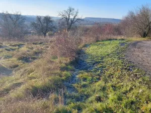Prodej pozemku pro bydlení, Dřetovice, 1424 m2