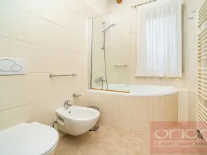 Pronájem bytu 1+kk, Praha - Vinohrady, Italská, 49 m2