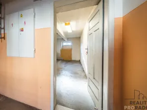 Prodej bytu 2+kk, Bzenec, J. Wolkra, 56 m2