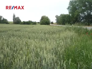 Prodej pozemku pro bydlení, Hořesedly, 985 m2