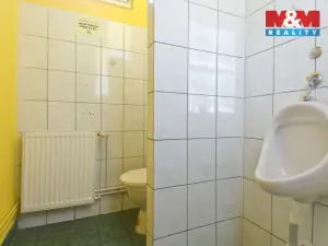 Pronájem obchodního prostoru, Orlová - Lutyně, Masarykova třída, 222 m2