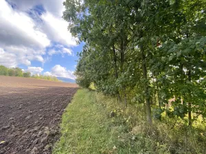 Prodej lesa, Lánov - Horní Lánov, 15278 m2