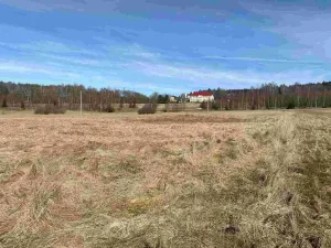 Prodej pozemku, Aš - Nový Žďár, 3300 m2