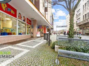 Pronájem obchodního prostoru, Náchod, Kamenice, 214 m2