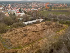 Prodej komerčního pozemku, Čejkovice, 11006 m2