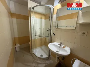 Pronájem bytu 3+1, Praha - Žižkov, Sladkovského náměstí, 53 m2