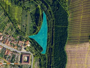 Prodej lesa, Ivančice, 7188 m2