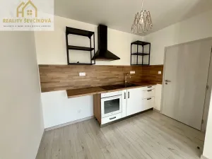 Pronájem bytu 1+kk, Hrochův Týnec, Nádražní, 28 m2