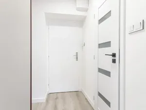 Prodej bytu 2+kk, Ostrava, Čujkovova, 29 m2