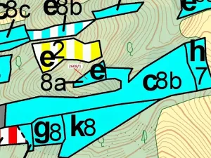 Dražba lesa, Zděchov, 481 m2