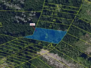 Dražba lesa, Havlíčkův Brod, 870 m2