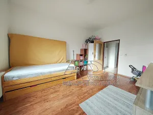 Pronájem bytu 2+1, České Budějovice, L. B. Schneidera, 54 m2