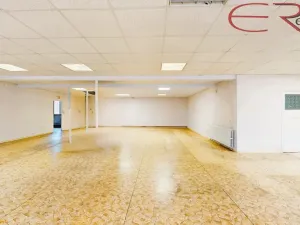 Pronájem skladu, Liberec, U Pramenů, 185 m2
