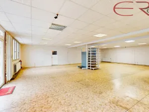 Pronájem skladu, Liberec, U Pramenů, 185 m2