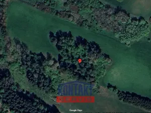 Prodej lesa, Strážek - Jemnice, 2666 m2