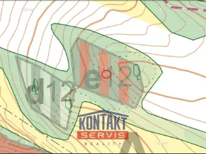 Prodej lesa, Strážek - Jemnice, 2666 m2