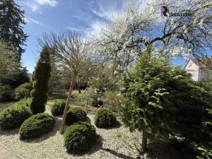 Prodej rodinného domu, Chodov, Nejdecká, 500 m2