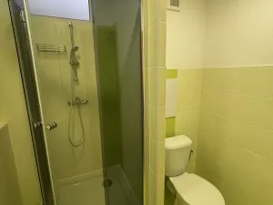 Pronájem bytu 1+kk, Pardubice, Nová, 36 m2