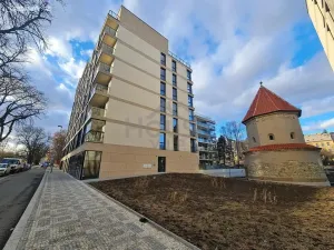 Prodej obchodního prostoru, Praha - Břevnov, Radimova, 113 m2