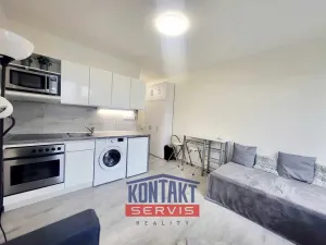 Pronájem bytu 1+kk, České Budějovice, Dobrovodská, 21 m2