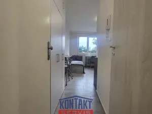 Pronájem bytu 1+kk, České Budějovice, Dobrovodská, 21 m2