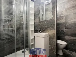 Pronájem bytu 1+kk, České Budějovice, Dobrovodská, 21 m2