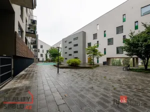 Pronájem bytu 2+kk, Plzeň - Východní Předměstí, Papírnická, 57 m2