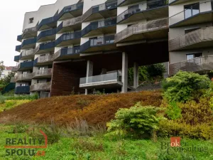 Pronájem bytu 2+kk, Plzeň - Východní Předměstí, Papírnická, 57 m2