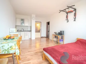 Prodej bytu 1+kk, Praha, Daškova, 29 m2