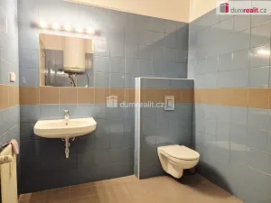 Pronájem bytu 2+kk, České Budějovice - České Budějovice 3, Klavíkova, 51 m2