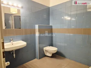 Pronájem bytu 2+kk, České Budějovice - České Budějovice 3, Klavíkova, 51 m2