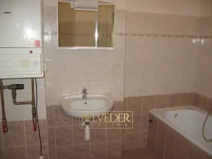 Pronájem bytu 1+1, Teplice, U Hadích lázní, 44 m2