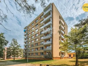 Pronájem bytu 2+1, Chvaletice, U Kulturního domu, 60 m2