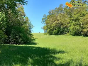 Prodej lesa, Diváky, 6415 m2