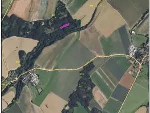 Prodej podílu lesa, Hrušová, 5113 m2