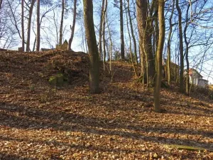 Prodej lesa, Čerčany, 394 m2