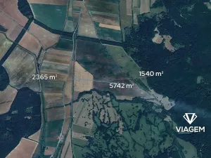 Prodej podílu pole, Javorník, 8039 m2