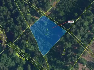 Dražba lesa, Jílové u Držkova, 1684 m2