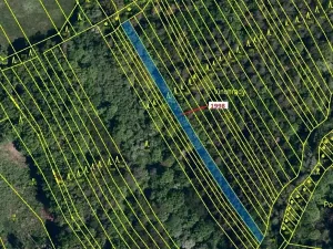 Dražba lesa, Kelníky, 1069 m2