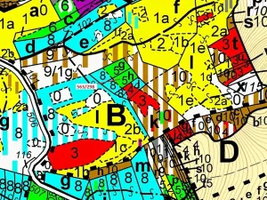 Dražba lesa, Spešov, 1372 m2