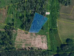 Dražba lesa, Mladoňovice, 1427 m2