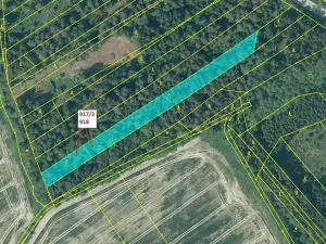 Dražba lesa, Netřebice, 3965 m2