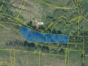 Dražba lesa, Psárov, 3464 m2