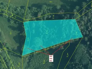 Dražba lesa, Rabí, 4276 m2