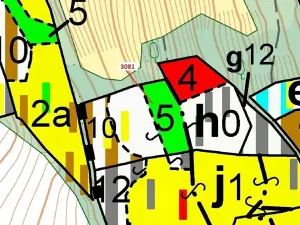 Dražba lesa, Benešov u Semil, 6213 m2