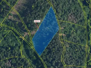 Dražba lesa, Jílové u Držkova, 6213 m2